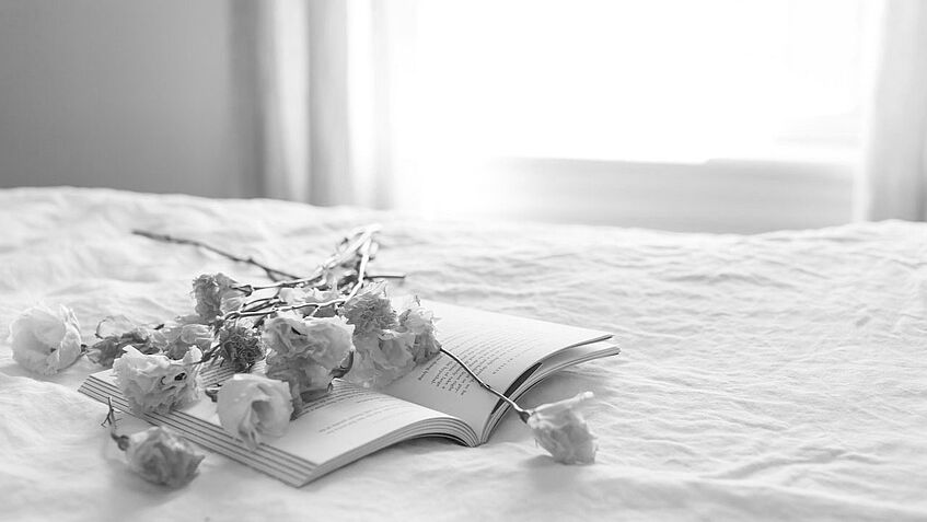 Auf einem Bett liegt ein Buch und darauf Rosen. Durch ein Fenster im unscharfen Hintergrund fällt Licht auf das Bett.