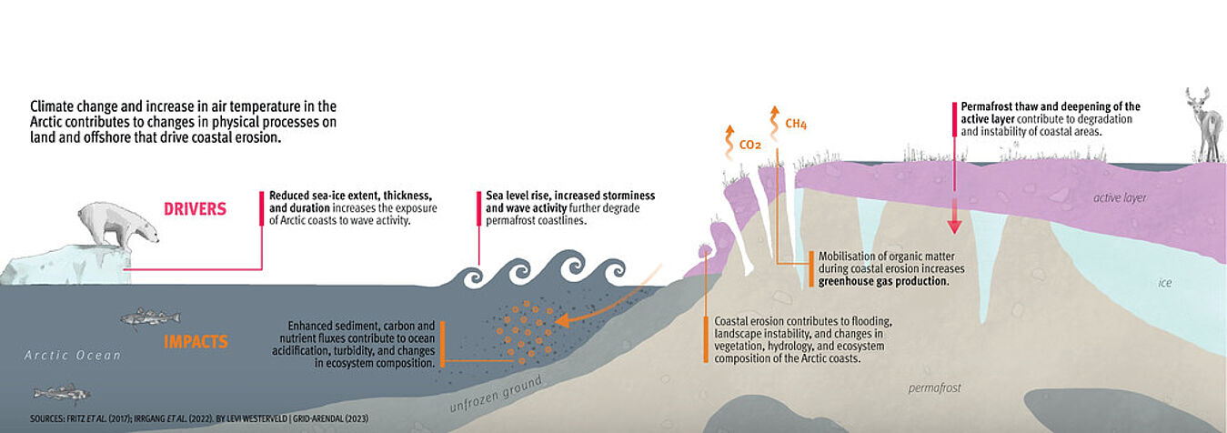 Darstellung verschiedener Faktoren der arktischen Küstenerosion, Link zur Quelle